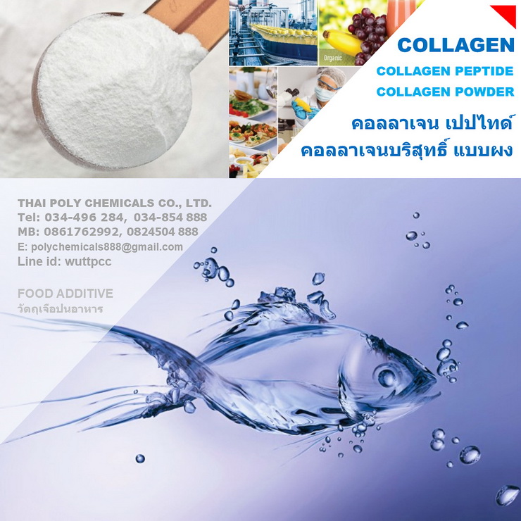 คอลลาเจน เปปไทด์, Collagen Peptide